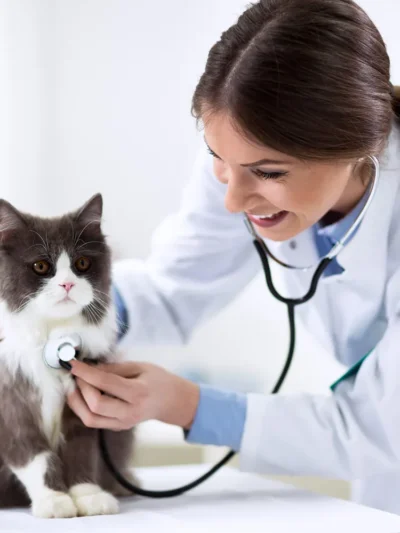 Consultorios Veterinarios